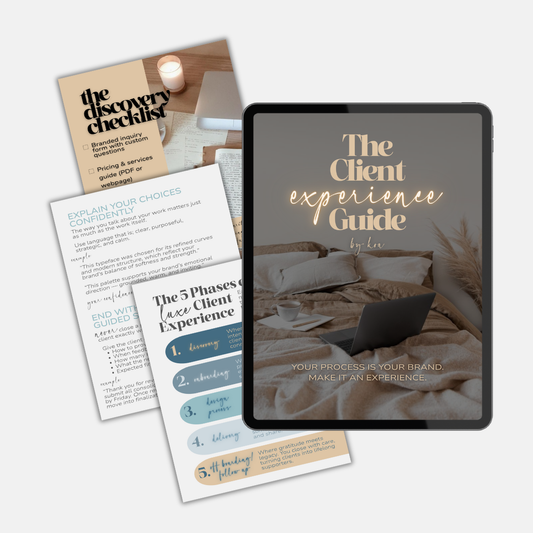 THE CLIENT EXPERIENCE GUIDE